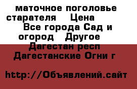 маточное поголовье старателя  › Цена ­ 3 700 - Все города Сад и огород » Другое   . Дагестан респ.,Дагестанские Огни г.